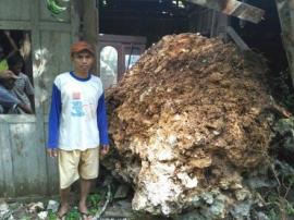 Rumah Warga Nglegok Terhantam Batu